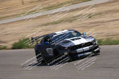 media/Sep-17-2023-Speed Ventures (Sun) [[7e780ba612]]/Green/Grid and Straight/